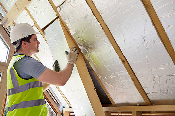 Best Cellulose Insulation in Scott City, KS